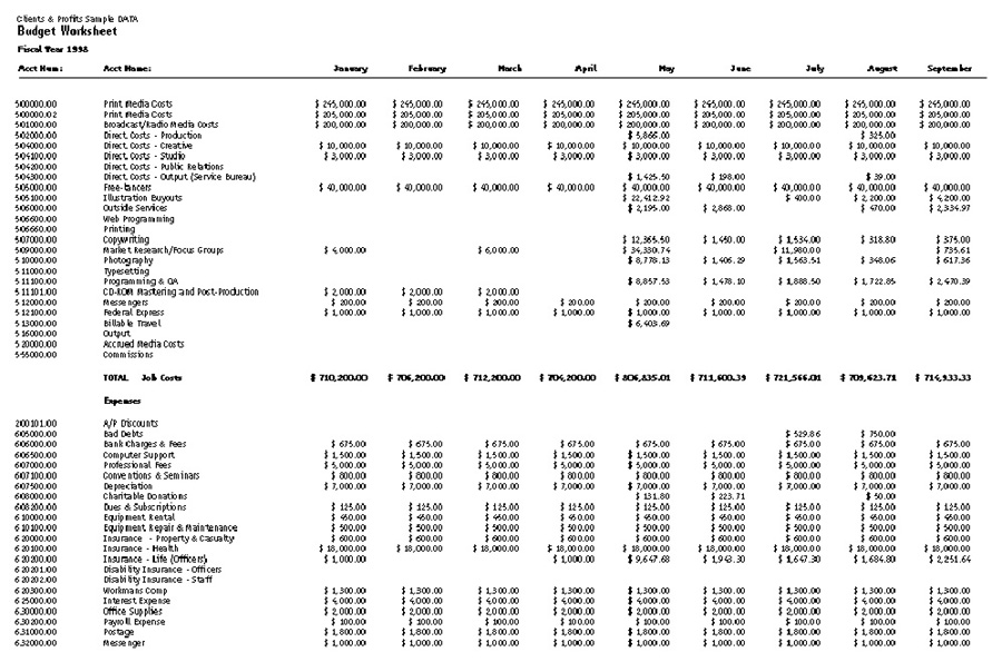 clients profits x user guide budget worksheet
